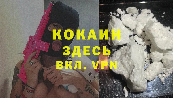 дмт Абаза