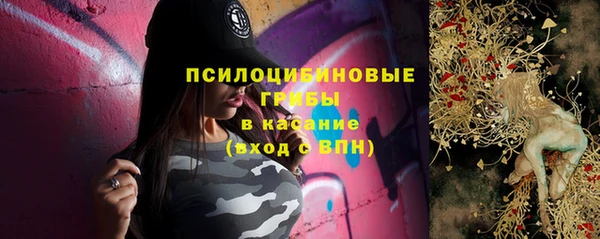 дмт Абаза